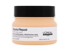 Masque cheveux L'Oréal Professionnel Absolut Repair Professional Mask 250 ml