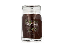 Duftkerze Yankee Candle Signature Praline & Birch 567 g