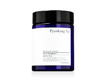 Crema giorno per il viso Pyunkang Yul Basic Moisture Cream 100 ml