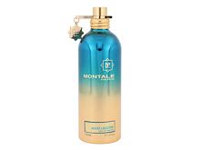 Eau de parfum Montale Aoud Lagoon 100 ml