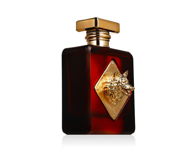 Eau de Parfum Fragrance World Alpha 100 ml