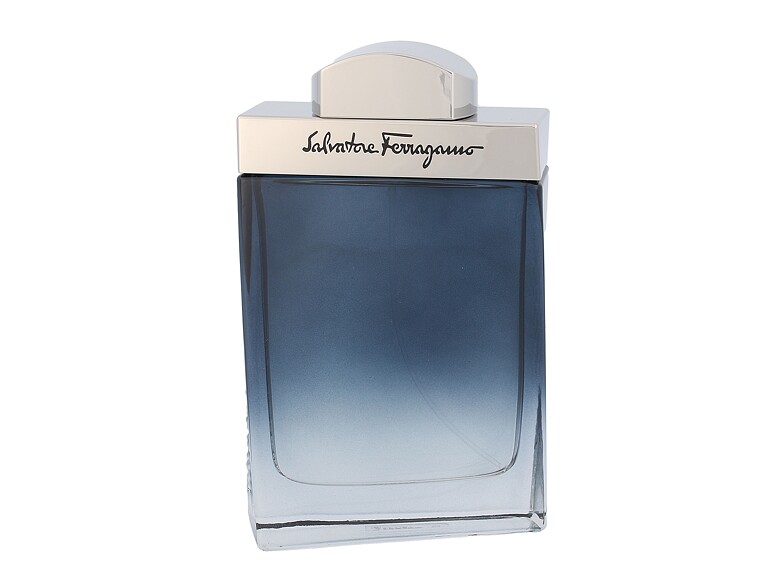 Eau de Toilette Ferragamo Subtil Pour Homme 100 ml