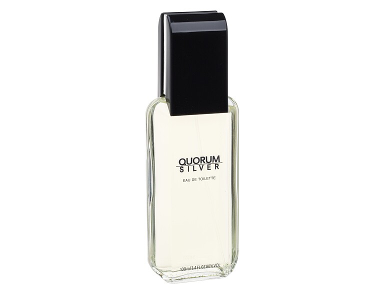 Eau de Toilette Antonio Puig Quorum Silver 100 ml