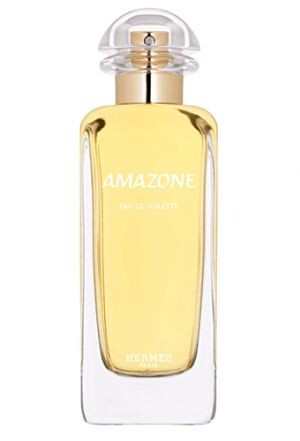 Eau de Toilette Hermes Amazone 100 ml Beschädigte Schachtel