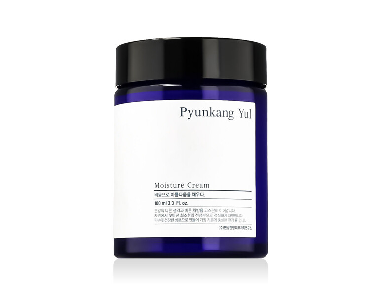 Tagescreme Pyunkang Yul Basic Moisture Cream 100 ml